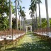 dillingham ranch, destination wedding in Hawaii
